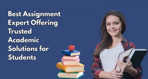 Best Assignment Expert Offering Trusted Academic Solutions for Students