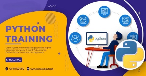 Why Is Python the Most Popular Programming Language Today?