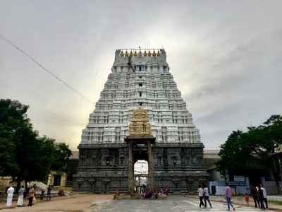 Why Varadharaja Perumal Temple Is Famous Among South Indian Temples