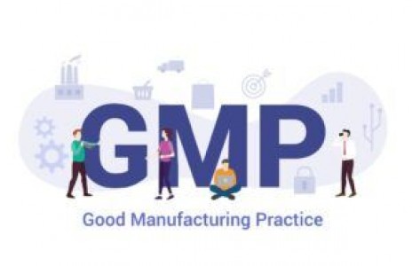 GMP Certification Training