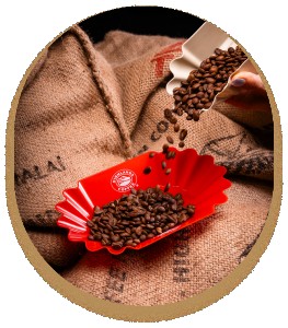 Premium Lab Coffee Trays for Professionals