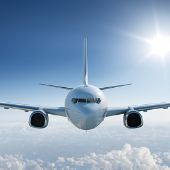 Flighta241