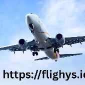 Flighys333