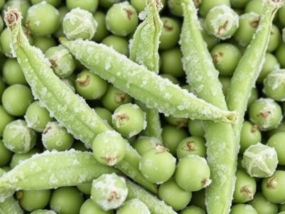 Who are the best Frozen Green Peas suppliers?