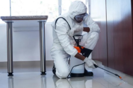 Reliable Pest Control Services for Homes & Businesses
