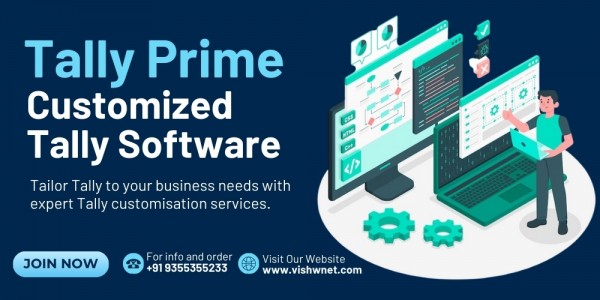 Why Your Business Needs Tally Customization Services Today
