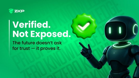 Zero Knowledge Proof: Powering the Future of Privacy with the ZKP Ecosystem