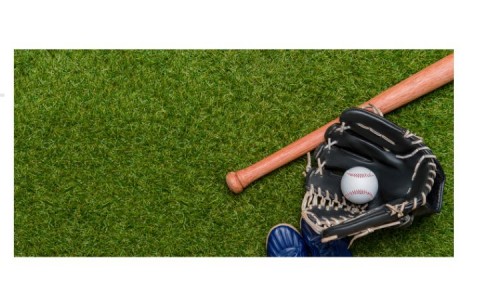 Baseball Equipment Market Growth, Trends, and Future Insights