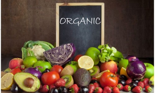 India Organic Food Market: Growth, Trends, and Future Outlook
