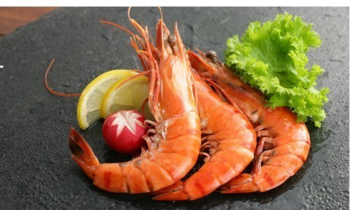 Global Shrimp Market Trends, Growth, and Regional Insights
