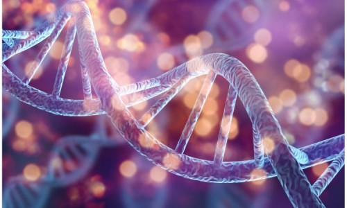 Cell and Gene Therapy Cold Chain Logistics Market Insights