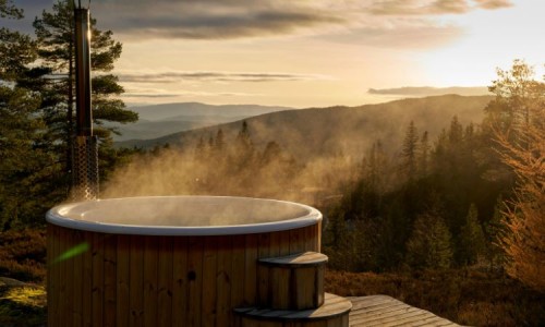 Cold Plunge Tubs 2025: The Coolest Wellness Trend Right Now