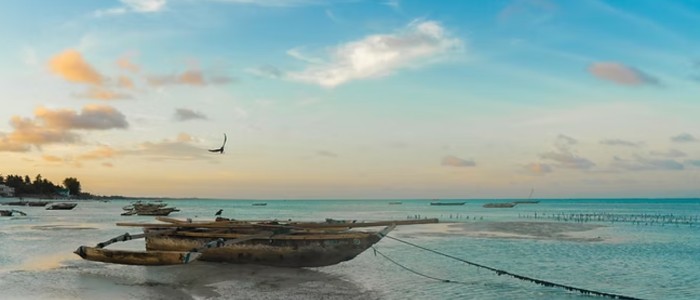 Skreddersydd reise til Afrika uten stress og mas