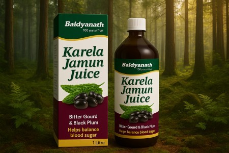  What Is Karela Jamun Juice? Benefits, Uses & Why Everyone Is Talking About It