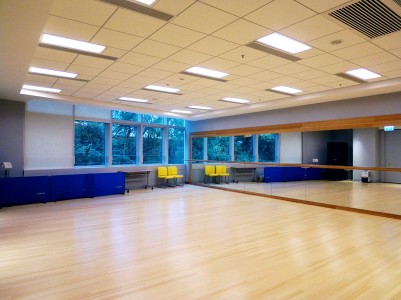 Vertical Carbonized Bamboo: The Best Option for Modern Interiors