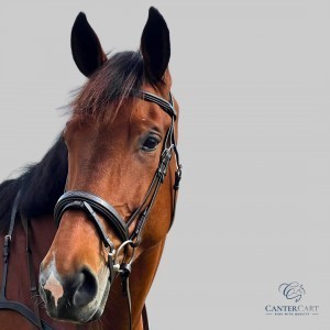 Neoprene Long Girth for Horse CanterCart Soft & Secure Fit