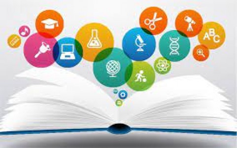 NHS FPX 6008 and NURS FPX 6011 Course Guide: MSN Success at Capella