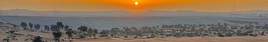 Morning & Evening Desert Safari Abu Dhabi – Complete Guide