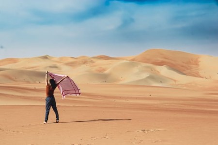 Morning & Evening Desert Safari Abu Dhabi – Complete Guide
