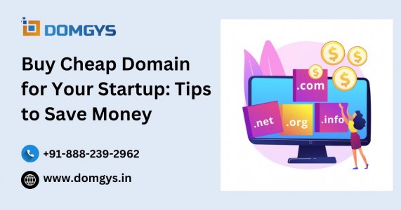 Buy Cheap Domain for Your Startup: Tips to Save Money