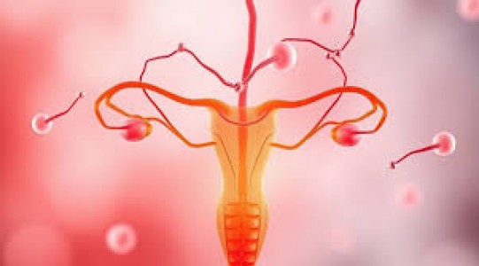 IVF Treatment in India: Affordable, Advanced, and Accessible