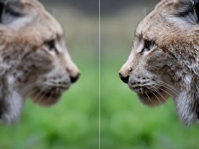 The Smart Way to Upgrade Your Photos: Image Enhancers Explained