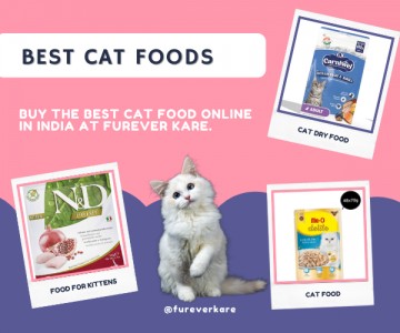  Best Cat Food Online In India - Furever Care