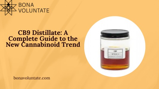 CB9 Distillate: A Complete Guide to the New Cannabinoid Trend