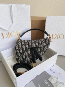 region for cusing on fashion Dior which makes it harder