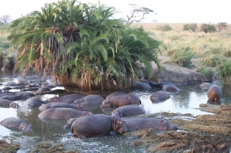 Which Mount Kilimanjaro Climbing Routes Offer the Best Acclimatization and Views?