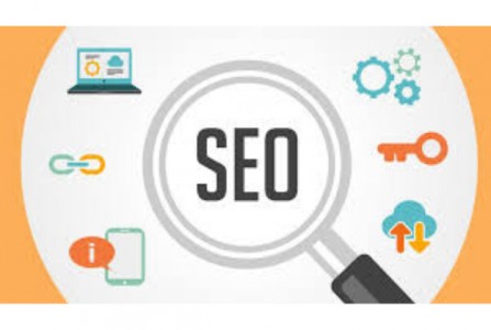Why Choosing an SEO Company in Gurgaon Transforms Your Digital Growth
