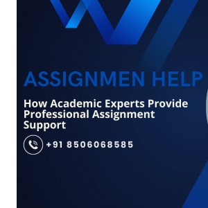 How Academic Experts Provide Professional Assignment Support