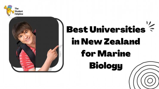 Best Universities in New Zealand for Marine Biology