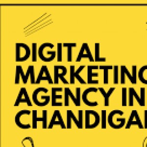 Affordable Digital Marketing Company in Chandigarh for Small Businesses – A Complete Guide