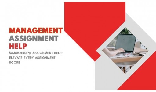 Management Assignment Help: Elevate Every Assignment Score