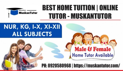 Hire a Perfect Tutor | Reliable Home Tutor for All Classes