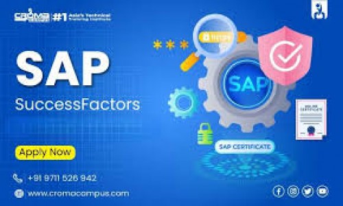 SAP SuccessFactors Performance And Goals