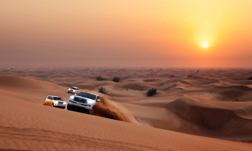 Best Early Morning Tours for Business Travelers in Dubai