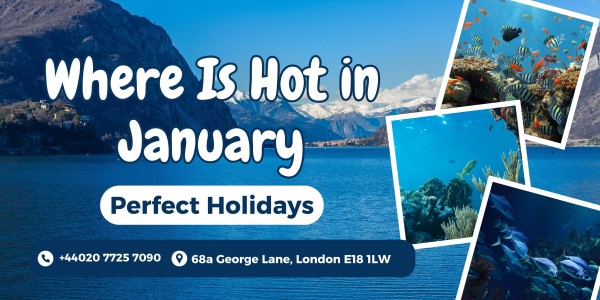 Where is Hot in January?