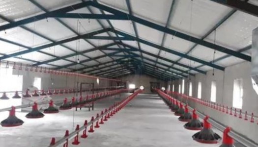 How banana ripening plant and puf panel prefabricated labour farms grow with Technopuffsolutions