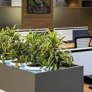 Office Interior in Delhi – Creating Workspaces That Inspire Success