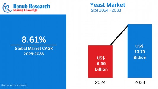 Sports Medicine Market Size Forecast 2025-2033: Segmentation, Innovation, and Growth Drivers