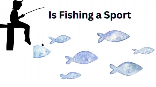 Is Fishing a Sport? Exploring Skill, Strategy, and Recognition