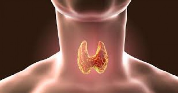 Hypothyroidism Care with Ayurveda at Sarvagun, Delhi