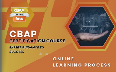 How I Aced the CBAP Exam: My Journey to Becoming a Certified Business Analysis Professional