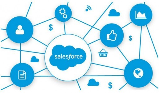 Key roles of Salesforce 