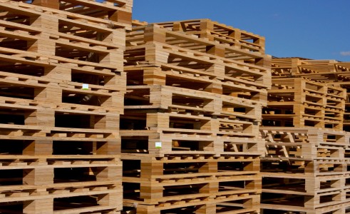 Pallet Market: Key Trends, Growth, and Opportunities