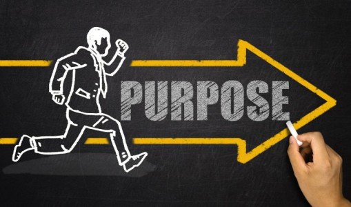 Purpose-Built Backup Appliance (PBBA) Market: Trends, Opportunities, and Future Growth