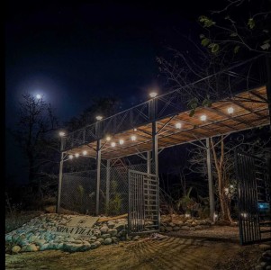 Luxury Meets Wilderness: 5-Star Jungle Experiences You Can Only Have in Jim Corbett This Winter