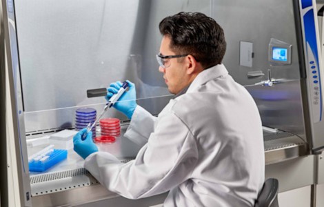 Biological Safety Cabinet Market Size, Share, and Growth Analysis 2025-2033